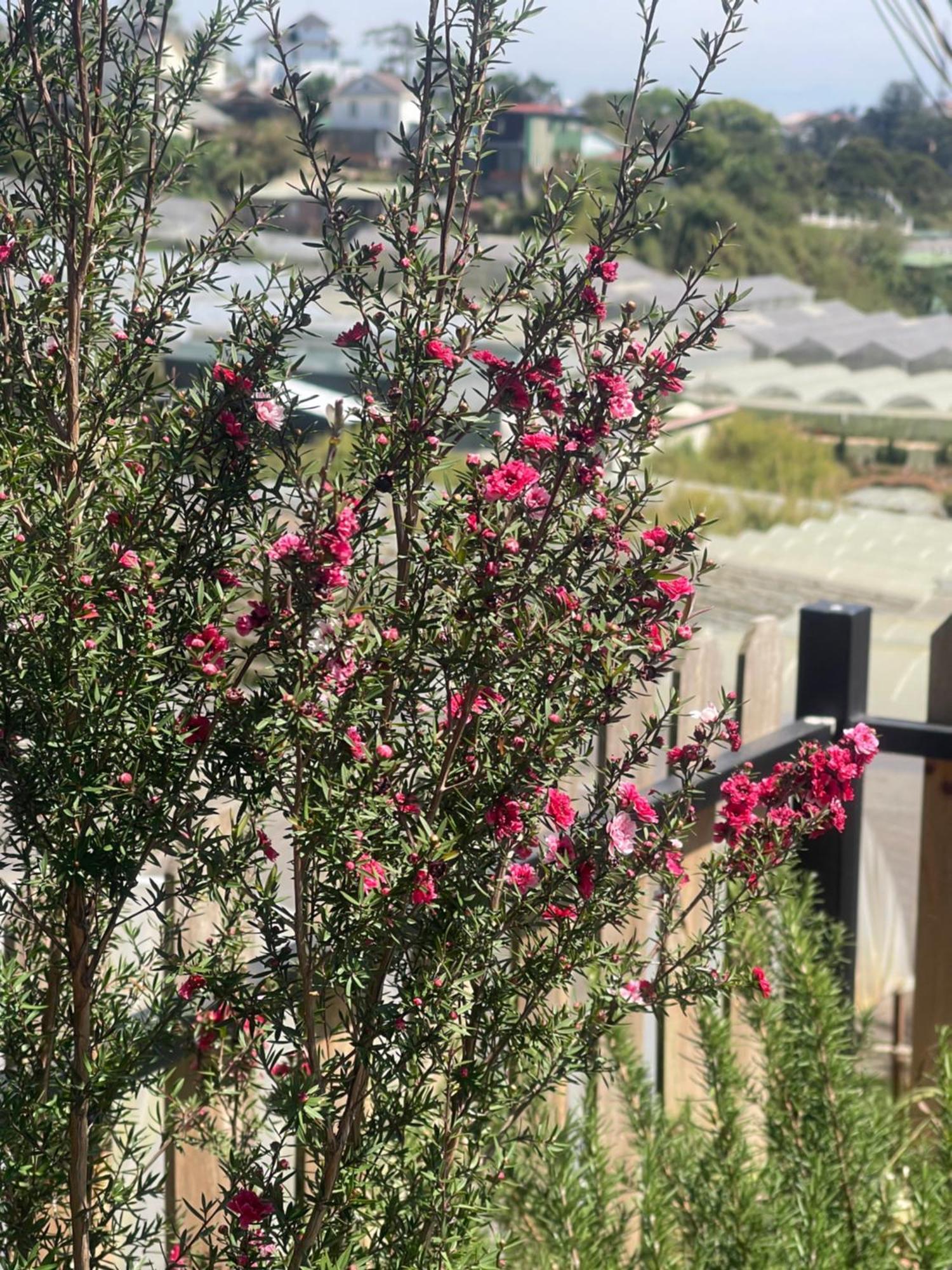 فيلا Lucia House 2 دالات المظهر الخارجي الصورة
